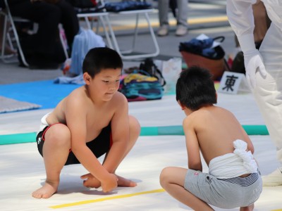 ５月度例会   わんぱく相撲浜松場所