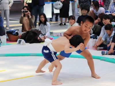 ５月度例会   わんぱく相撲浜松場所