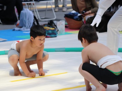 ５月度例会   わんぱく相撲浜松場所