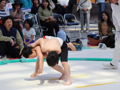 ５月度例会   わんぱく相撲浜松場所