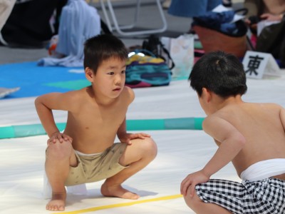 ５月度例会   わんぱく相撲浜松場所