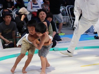 ５月度例会   わんぱく相撲浜松場所