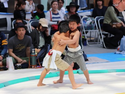 ５月度例会   わんぱく相撲浜松場所