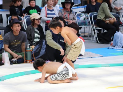 ５月度例会   わんぱく相撲浜松場所