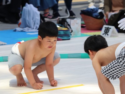 ５月度例会   わんぱく相撲浜松場所