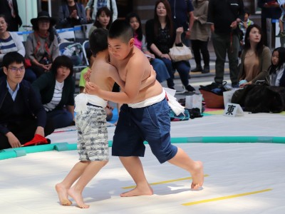 ５月度例会   わんぱく相撲浜松場所