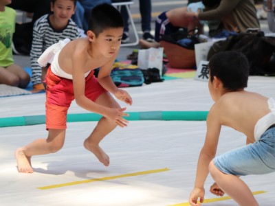 ５月度例会   わんぱく相撲浜松場所