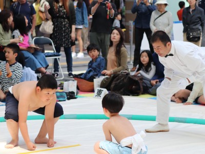 ５月度例会   わんぱく相撲浜松場所