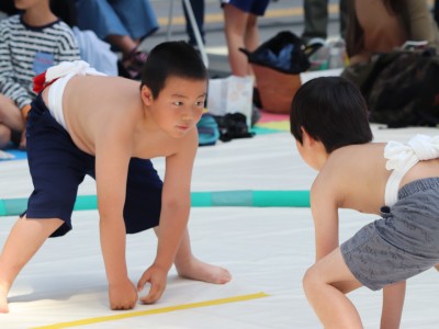 ５月度例会   わんぱく相撲浜松場所