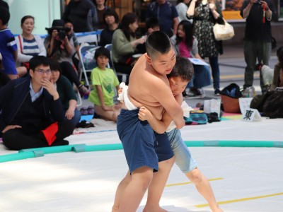 ５月度例会   わんぱく相撲浜松場所