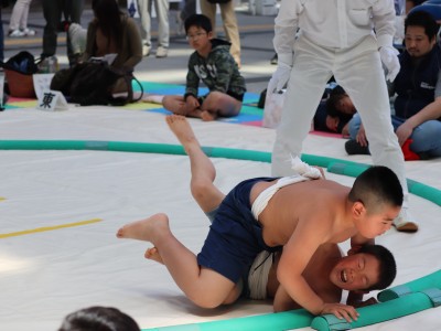 ５月度例会   わんぱく相撲浜松場所