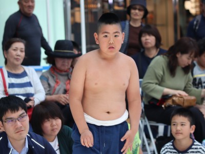 ５月度例会   わんぱく相撲浜松場所