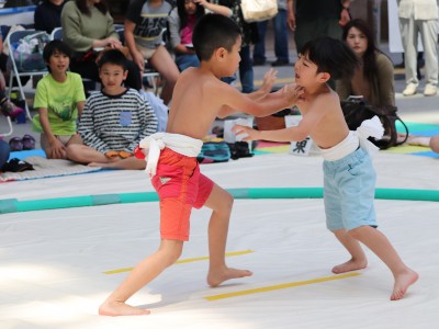 ５月度例会   わんぱく相撲浜松場所