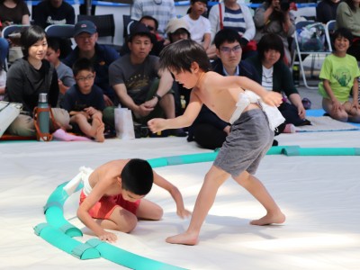 ５月度例会   わんぱく相撲浜松場所