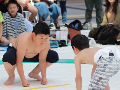 ５月度例会   わんぱく相撲浜松場所