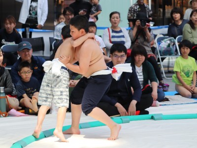 ５月度例会   わんぱく相撲浜松場所