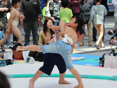 ５月度例会   わんぱく相撲浜松場所