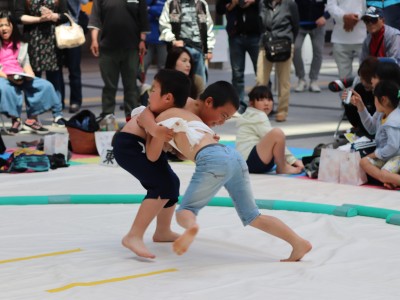 ５月度例会   わんぱく相撲浜松場所