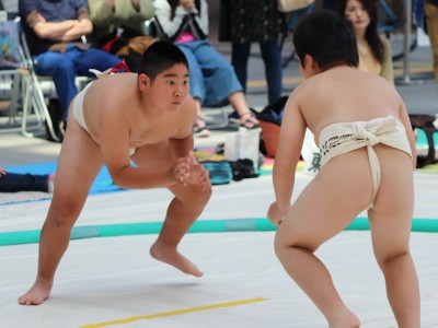 ５月度例会   わんぱく相撲浜松場所