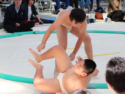 ５月度例会   わんぱく相撲浜松場所