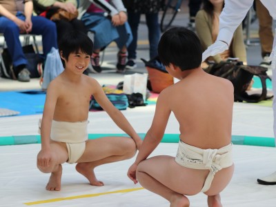 ５月度例会   わんぱく相撲浜松場所