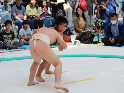 ５月度例会   わんぱく相撲浜松場所