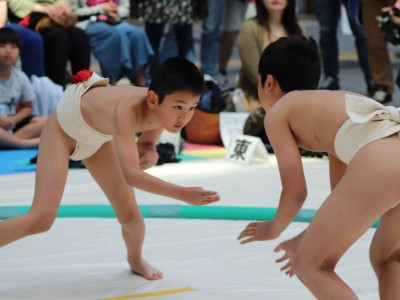 ５月度例会   わんぱく相撲浜松場所