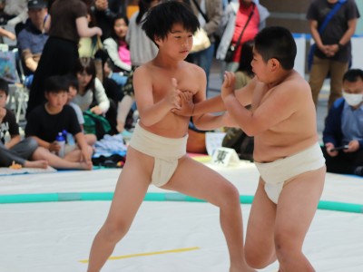 ５月度例会   わんぱく相撲浜松場所