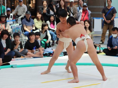 ５月度例会   わんぱく相撲浜松場所