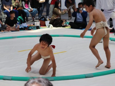 ５月度例会   わんぱく相撲浜松場所