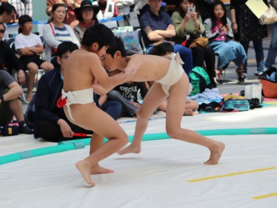 ５月度例会   わんぱく相撲浜松場所