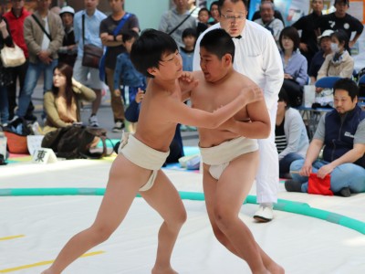 ５月度例会   わんぱく相撲浜松場所