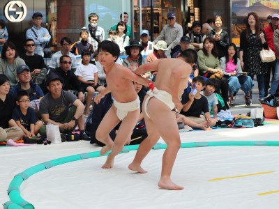 ５月度例会   わんぱく相撲浜松場所