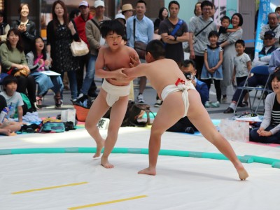 ５月度例会   わんぱく相撲浜松場所