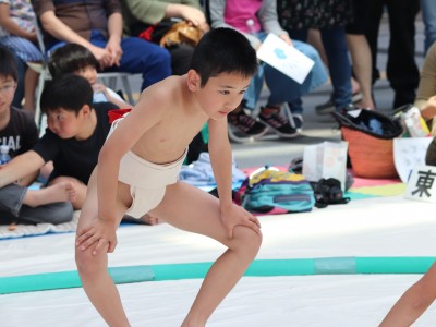 ５月度例会   わんぱく相撲浜松場所