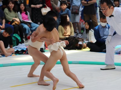 ５月度例会   わんぱく相撲浜松場所