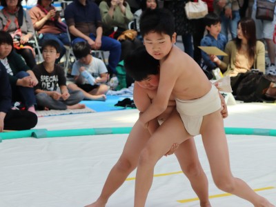 ５月度例会   わんぱく相撲浜松場所