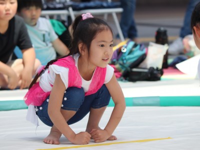 ５月度例会   わんぱく相撲浜松場所