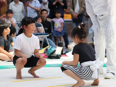 ５月度例会   わんぱく相撲浜松場所