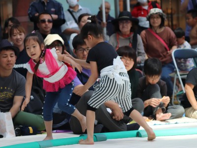 ５月度例会   わんぱく相撲浜松場所