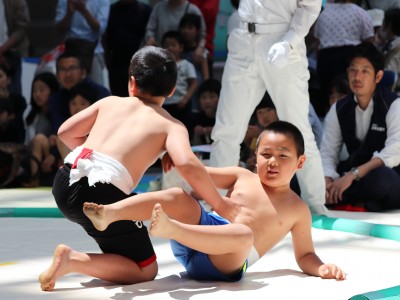 ５月度例会   わんぱく相撲浜松場所