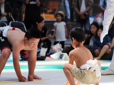 ５月度例会   わんぱく相撲浜松場所