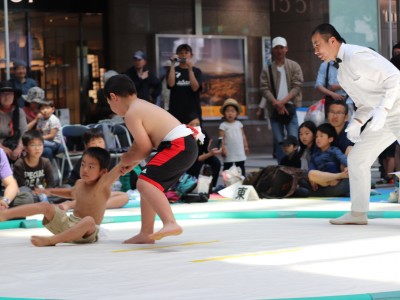 ５月度例会   わんぱく相撲浜松場所