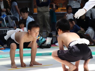 ５月度例会   わんぱく相撲浜松場所