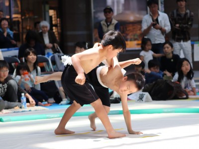 ５月度例会   わんぱく相撲浜松場所