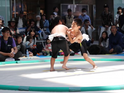 ５月度例会   わんぱく相撲浜松場所