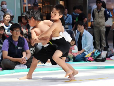 ５月度例会   わんぱく相撲浜松場所