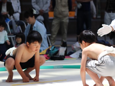 ５月度例会   わんぱく相撲浜松場所