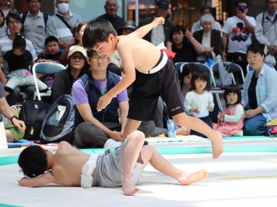 ５月度例会   わんぱく相撲浜松場所