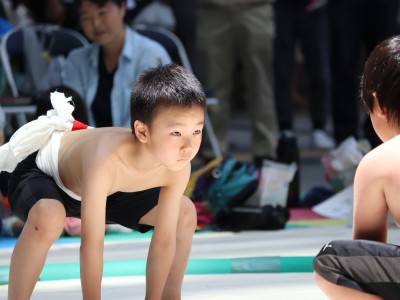 ５月度例会   わんぱく相撲浜松場所